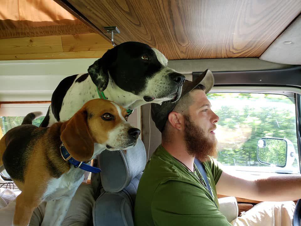 Tramp and his dogs